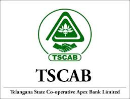 TELANGANA STATE COOP APEX BANK