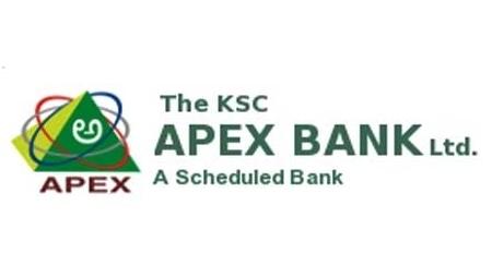 THE KARANATAKA STATE COOPERATIVE APEX BANK LIMITED